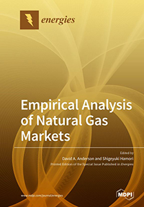 Cover of Book about Natural Gas Markets