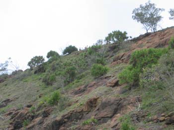 Aus0094