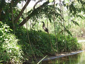 Belize0027