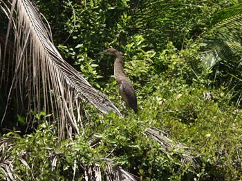 Belize0038