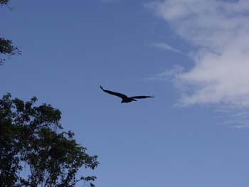 Belize0112