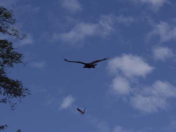 Belize0117