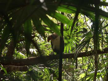 Belize0238