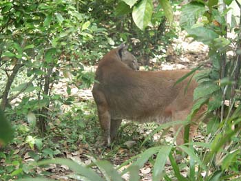 Belize0253