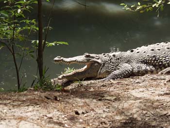 Belize0262
