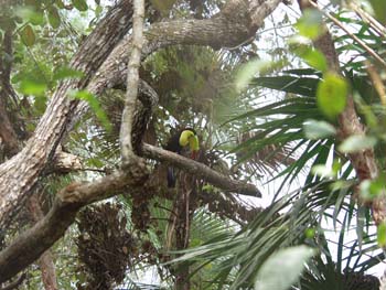Belize0266