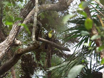 Belize0267