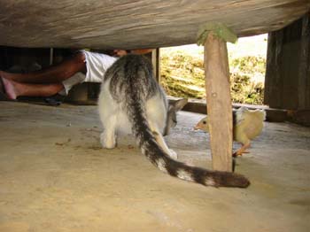Belize0351