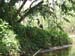 Belize0027