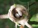Belize0053