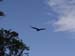 Belize0112