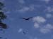 Belize0117