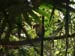 Belize0238