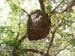 Belize0250