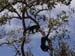 Belize0252