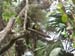 Belize0266