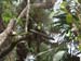 Belize0267
