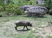 Belize0333