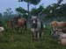Belize0373