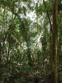 Belize0079