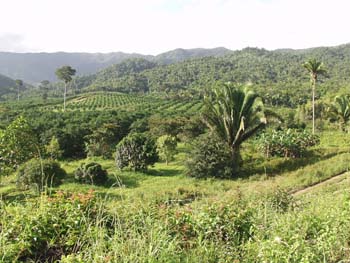 Belize0233