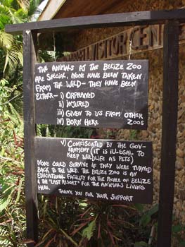 Belize0274