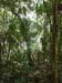 Belize0079