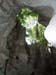 Belize0098