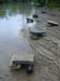 belize0376_r1