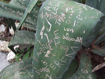 Belize0272