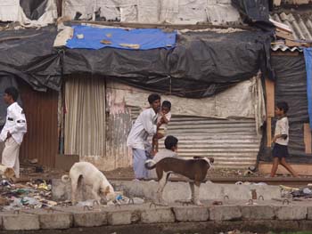 India0013
