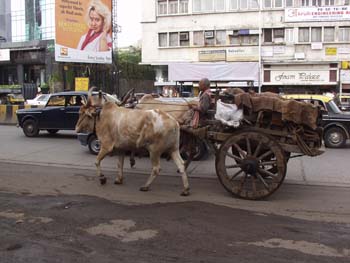 India0016