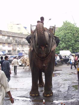 India0020