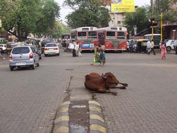 India0022