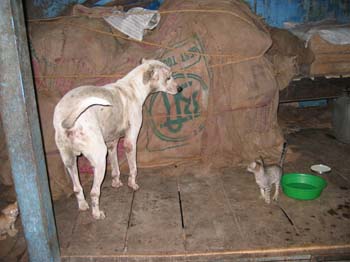 India0160