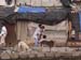 India0013