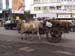 India0016