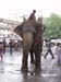 India0021