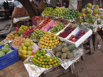 India0029
