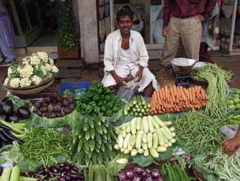 India0031