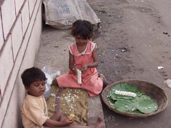 India0033