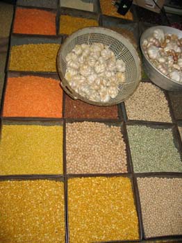 India0158