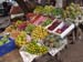 India0029