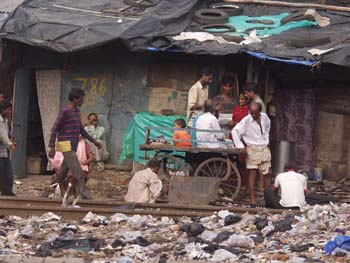 India0006