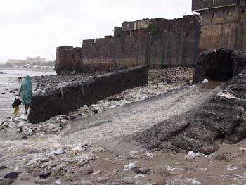 India0074