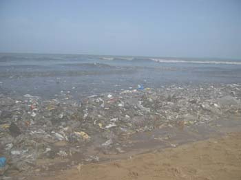 India0148
