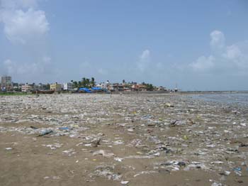 India0151