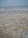 india0144_r1