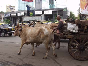 India0017
